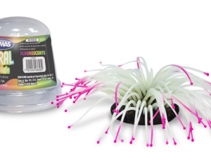 CORAL FLUORESCENTE COLORES SURTIDOS